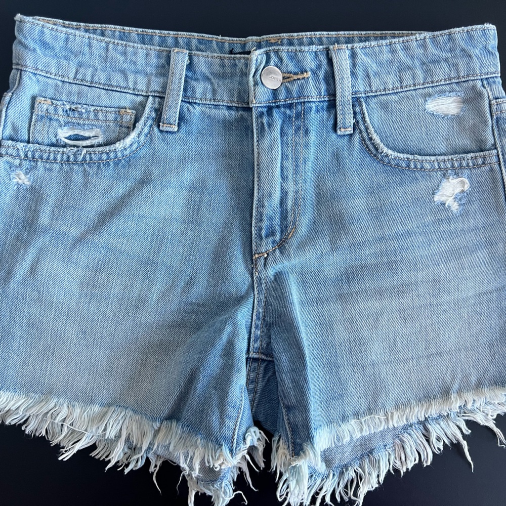 Joe’s The Ozzie 4” Cut Off Short